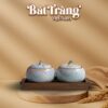 Bộ 2 Hũ Đựng Mứt Dáng Bí Men Xanh Hỏa Biến BT-KM26 - Ảnh đại diện
