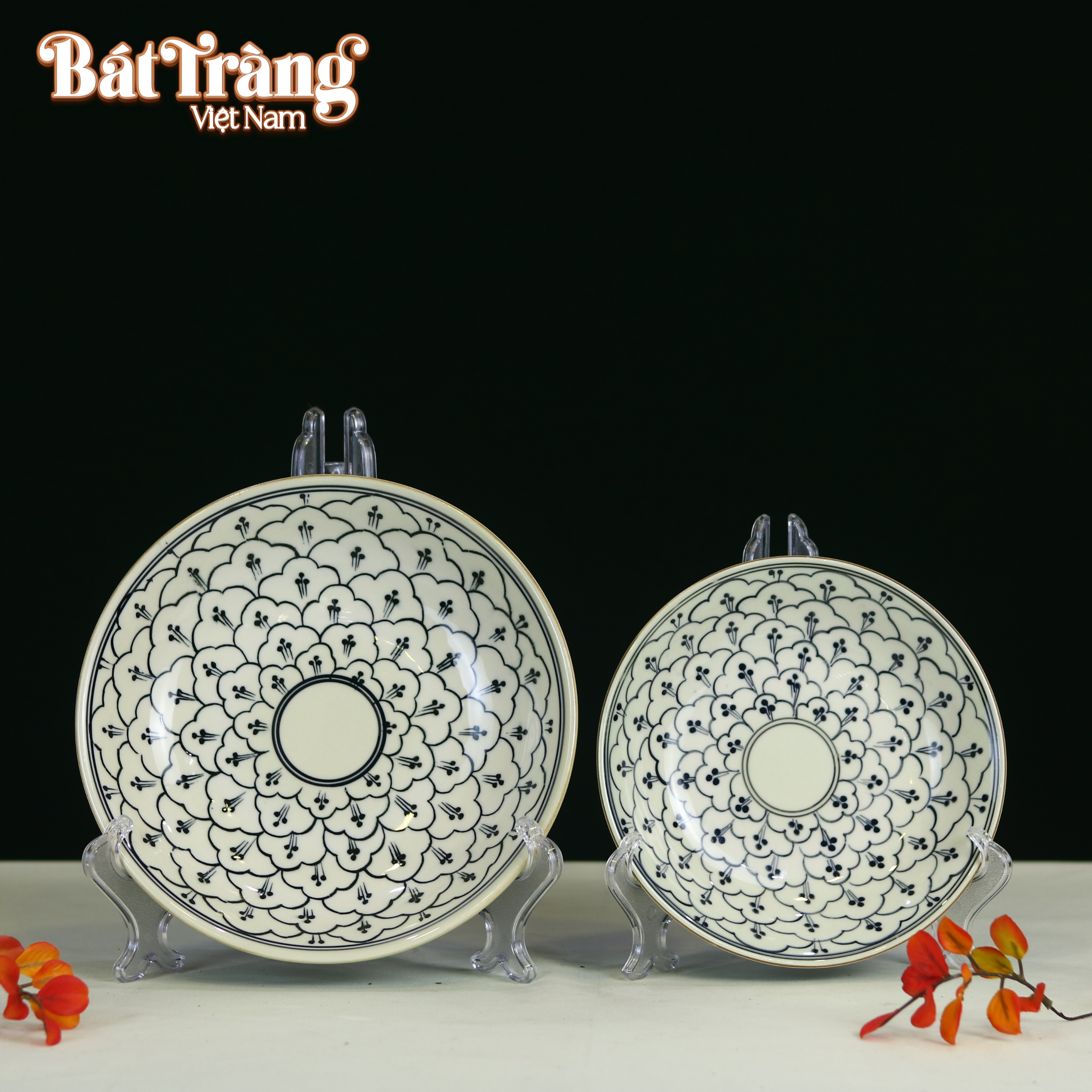 dia-bo-bat-dia-beo-xanh-2