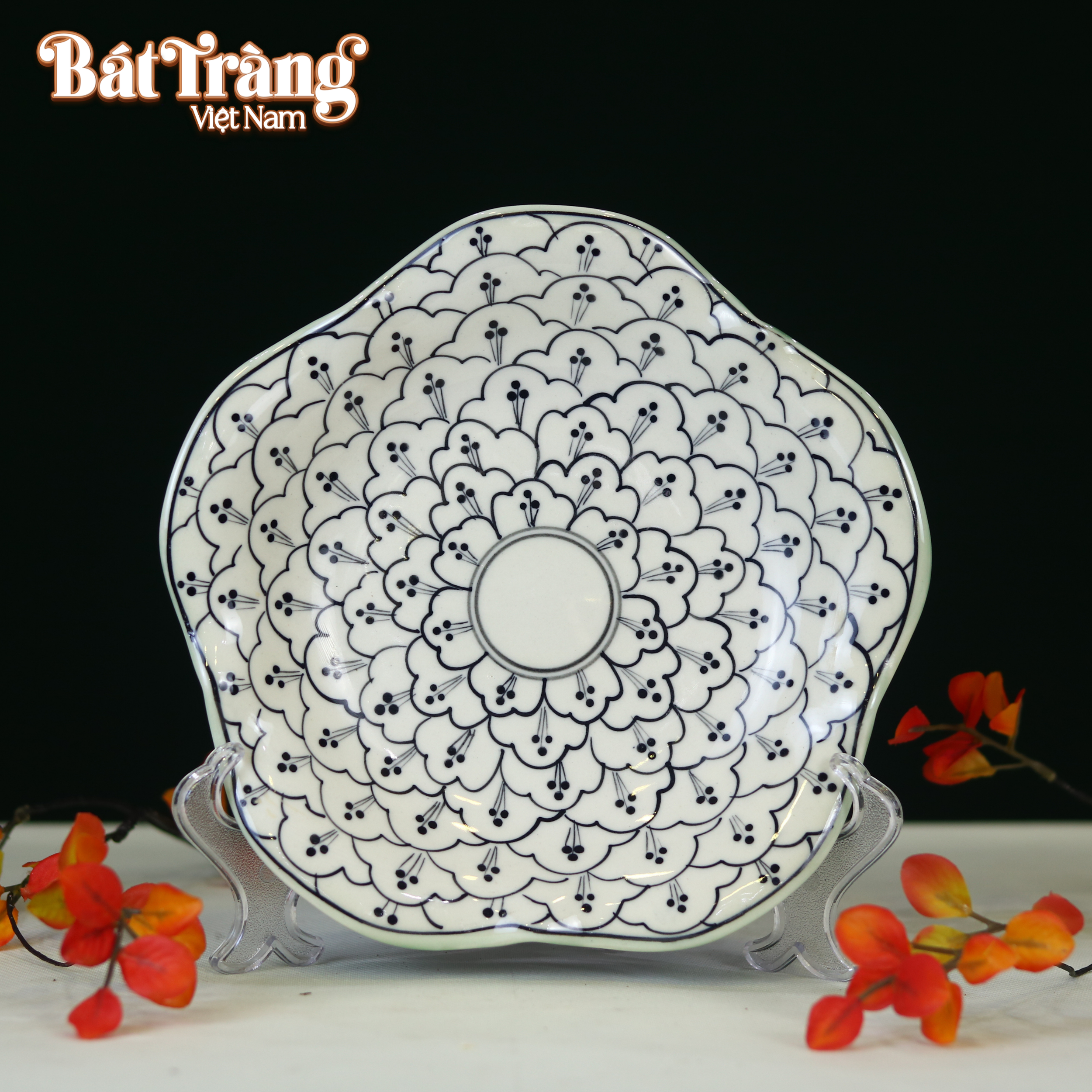 dia-hoa-dao-long-bo-bat-dia-beo-xanh-1