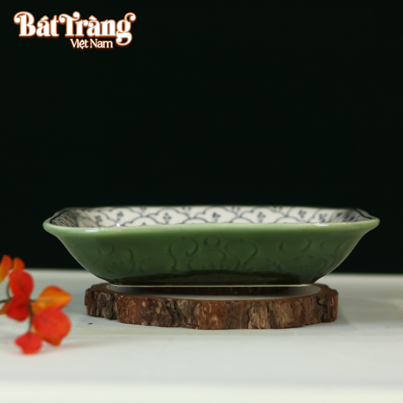 dia-vuong-sau-long-bo-bat-dia-beo-xanh-3